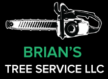 Brian's Tree Service, LLC