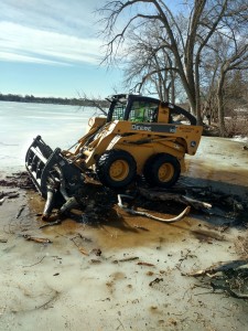 Brians-Tree-Service-Tree-on-Frozen-LakeIMG 20170213 105400247 HDR